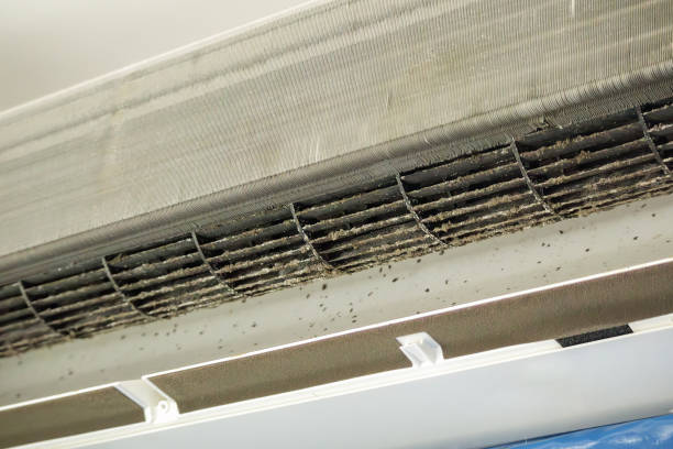 Best Ductwork Cleaning Services  in El Dorado Hills, CA